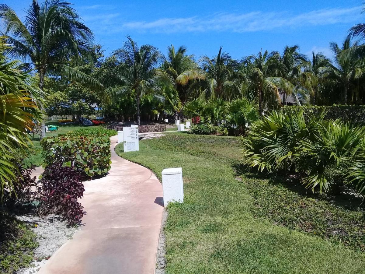 Ferienwohnung Swim The Caribbean & Work With A View Cancún Exterior foto