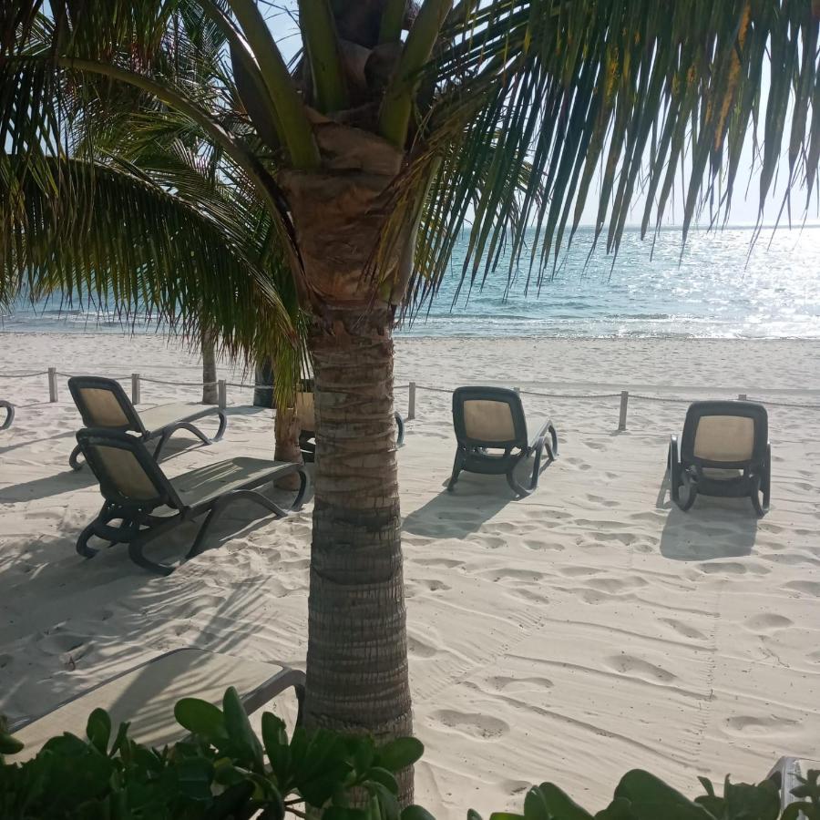 Ferienwohnung Swim The Caribbean & Work With A View Cancún Exterior foto